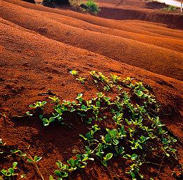 欧洲9月榜：销量跃升20% 《星际战士2》第三名